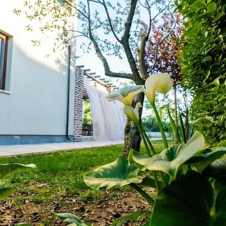 Appartamento With A Parking Space - 23131